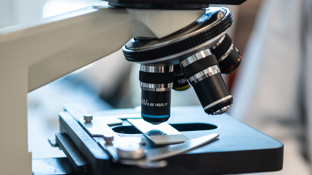 Research Team Receives Major Grant for AI Development